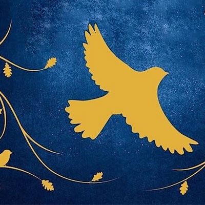 <br><br><br>Il Figlio della Profezia<br><br>Juliet Marillier